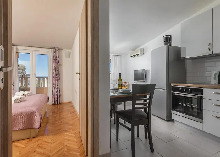 Διαμέρισμα Petrovic *