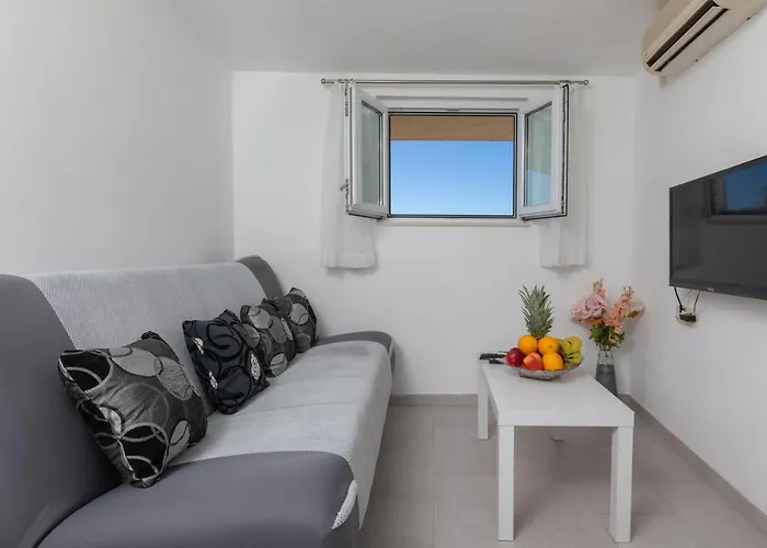 Διαμέρισμα Petrovic