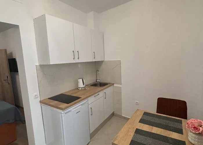 Apartment Petrovic